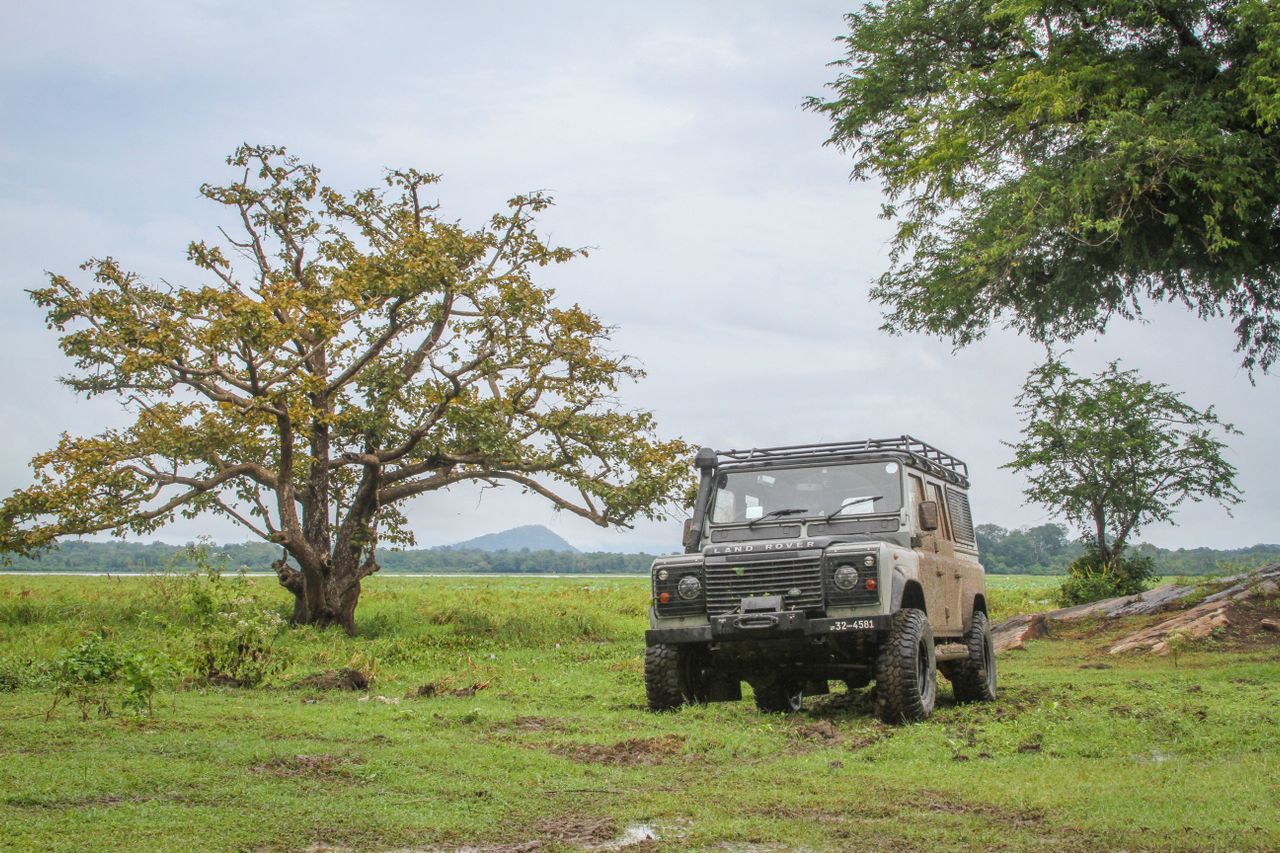 Wildlife & Safari Adventure